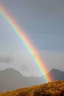 Rainbow With Fall Colors