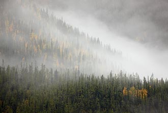 Cloudy Hillside With Fall Color