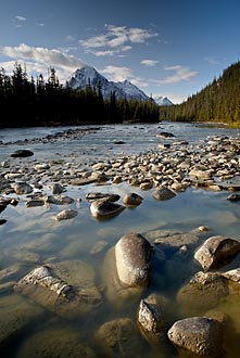 Whirlpool River