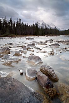 Whirlpool River