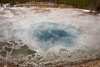 Artemisia Geyser Pool