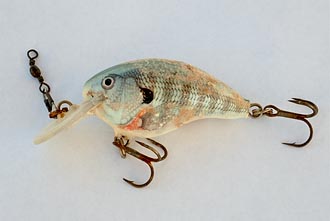 Old Fishing Lure