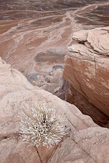 Mesa Top And Badlands