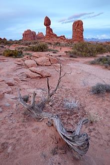 Balanced Rock At Dusk