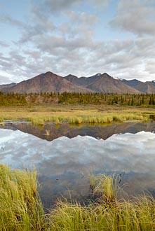 Mountain Reflection