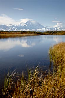 Mt. McKinley And Reflection Pond