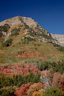 Red And Orange Mountain