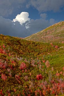 Cloud Over Fall Colors