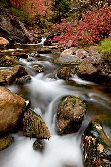 Fall Cascades