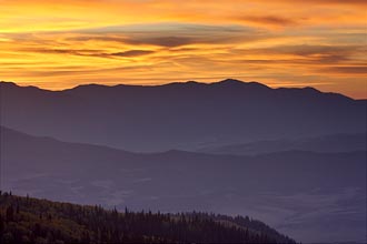 Orange Sunset