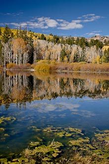 Aspen Reflection