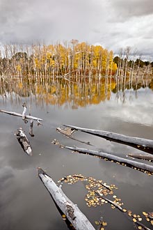 Aspen Reflection