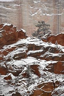 Fresh Snow On Red Rock Cliff