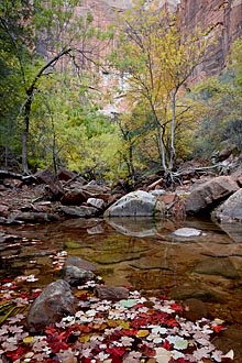 Middle Emerald Pool