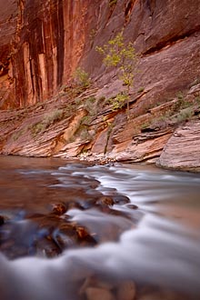 Cascade On The Virgin River