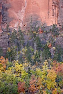 Fall Canyon